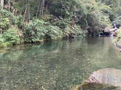 -紫鹊界梯田景区