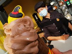 阿华田冰淇淋-麦当劳(花园北路店)