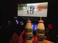 -枫花园汽车电影院(朝阳公园店)