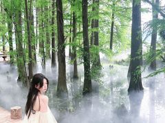 -东湖落雁景区