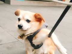 -南屏步行街