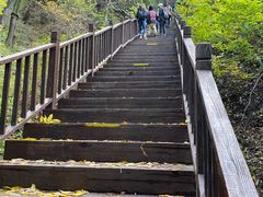 -天女山森林公园