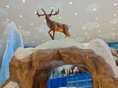 -长沙湘江欢乐雪域