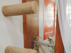 -共舞时光猫咖·狗咖(新街口店)