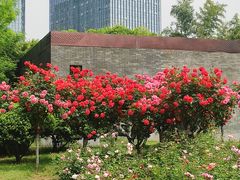 -武汉园博园(武汉自然博物馆)