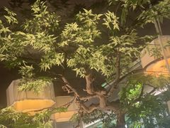 -绿茶餐厅(广州天河城店)