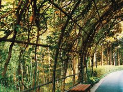 -杭州野生动物世界