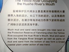 -盐城丹顶鹤湿地生态旅游区