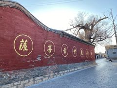 -暖泉古镇