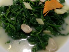 浓汤桑叶-广东道至正餐厅(区庄店)