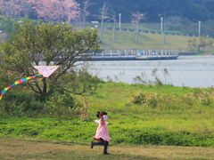 -风云岭森林公园