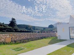 -龙坞茶村