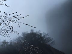 -大明山自然探索公园