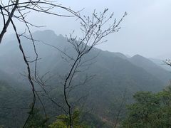 -龙湾潭国家森林公园