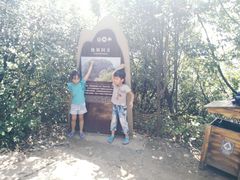 景点-江郎山风景名胜区