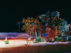 -三亚红色娘子军演艺公园景区