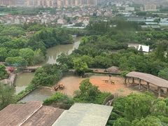 -上海野生动物园