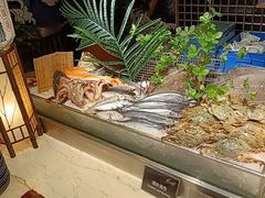 -盛宴自助餐厅(运达喜来登店)