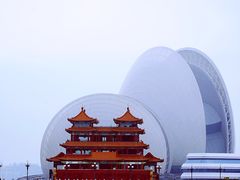 -野狸岛