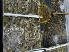 -兄弟纯天然海鲜城
