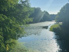 -上海海湾国家森林公园