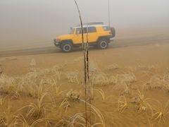 -亿利库布其七星湖沙漠生态旅游区