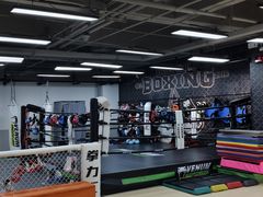 -拳力汇散打搏击泰拳俱乐部(绿地缤纷城店)