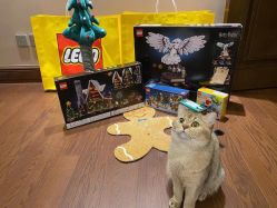 -乐高授权专卖店(济南万象城店)