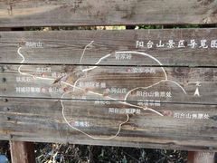 -阳台山自然风景区