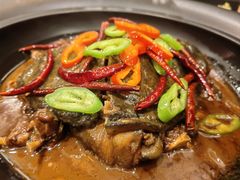 -沸腾鱼乡(知春路分店)