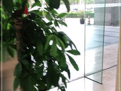 -Ms.Pilates 普拉提技术(尚悦湾陆家嘴店)