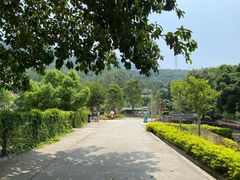 -泉州海丝野生动物世界