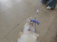 -艾贝尔宠物医院·狂犬免疫点(江山金象城店)