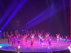 -水秀国际大剧院