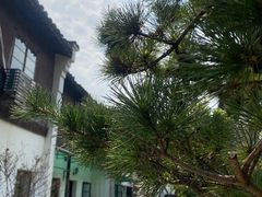 -小河无名面馆