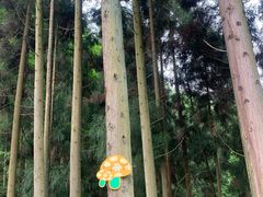 -太阳湾风景区