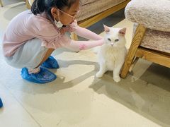 -藏猫猫咖啡主题馆(中央大道店)