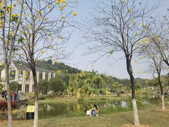 -东莞植物园
