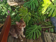 -昆明柏联SPA温泉