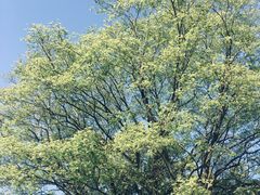 -宁波杉井奥特莱斯广场