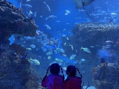 -海合安成都极地海洋公园