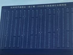 -南汇新城海滩