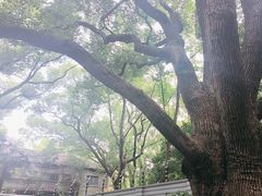 -上海宋庆龄故居纪念馆