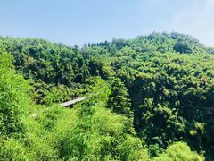 -川西竹海景区