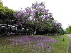 -四川大学(江安校区)
