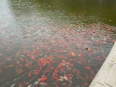 -大连植物园