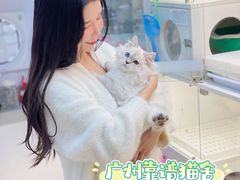 -lincat·猫舍(广州店)