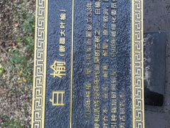 -内蒙古将军衙署博物院