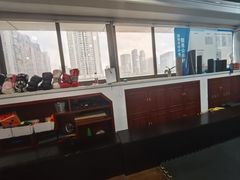 -温鉴良实用咏春拳