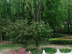 -森林公园(尖草坪区)